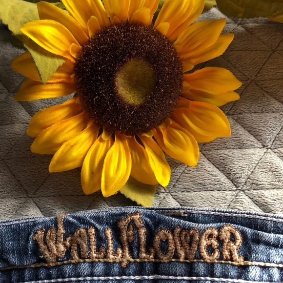 Wallflower Denim Jean Shorts - Picture 4 of 7